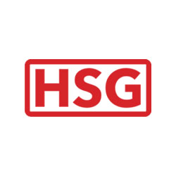 Hsg